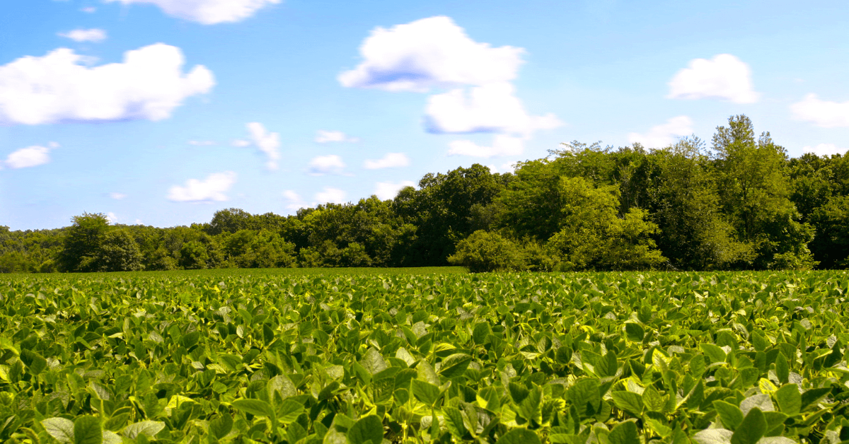 Featured Image for Time to buy a farm?